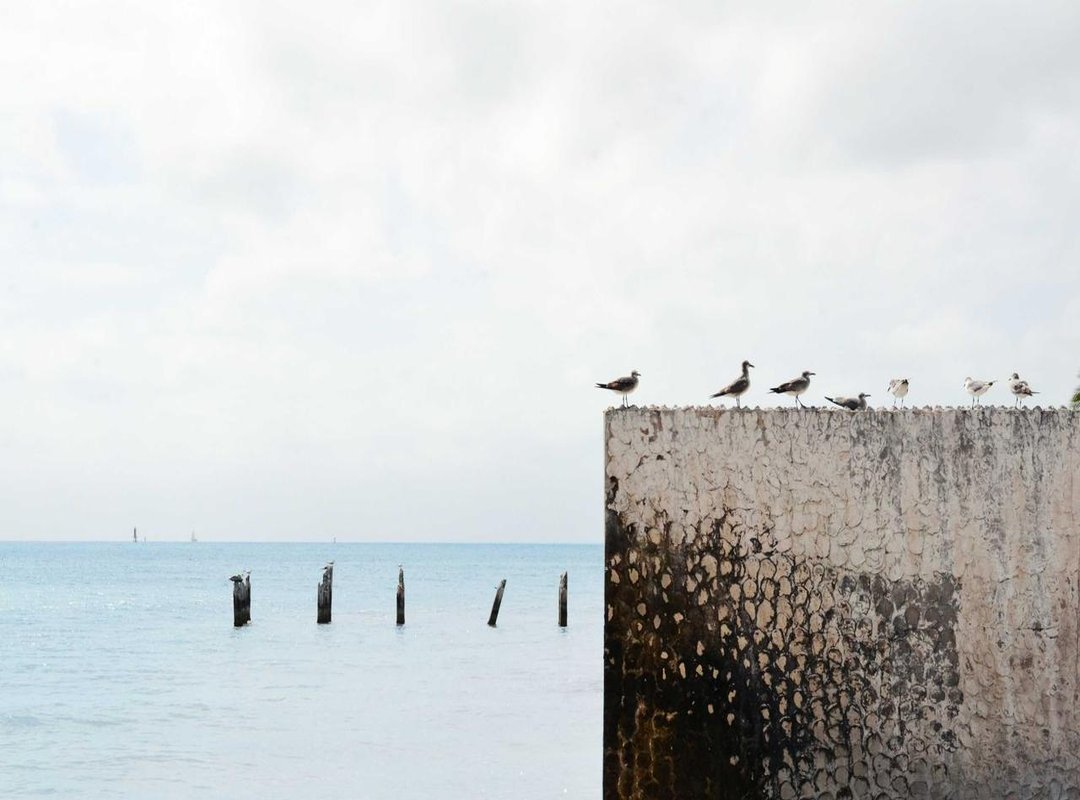 Visualizing the Invisible: Common Themes and Ideas to Explore