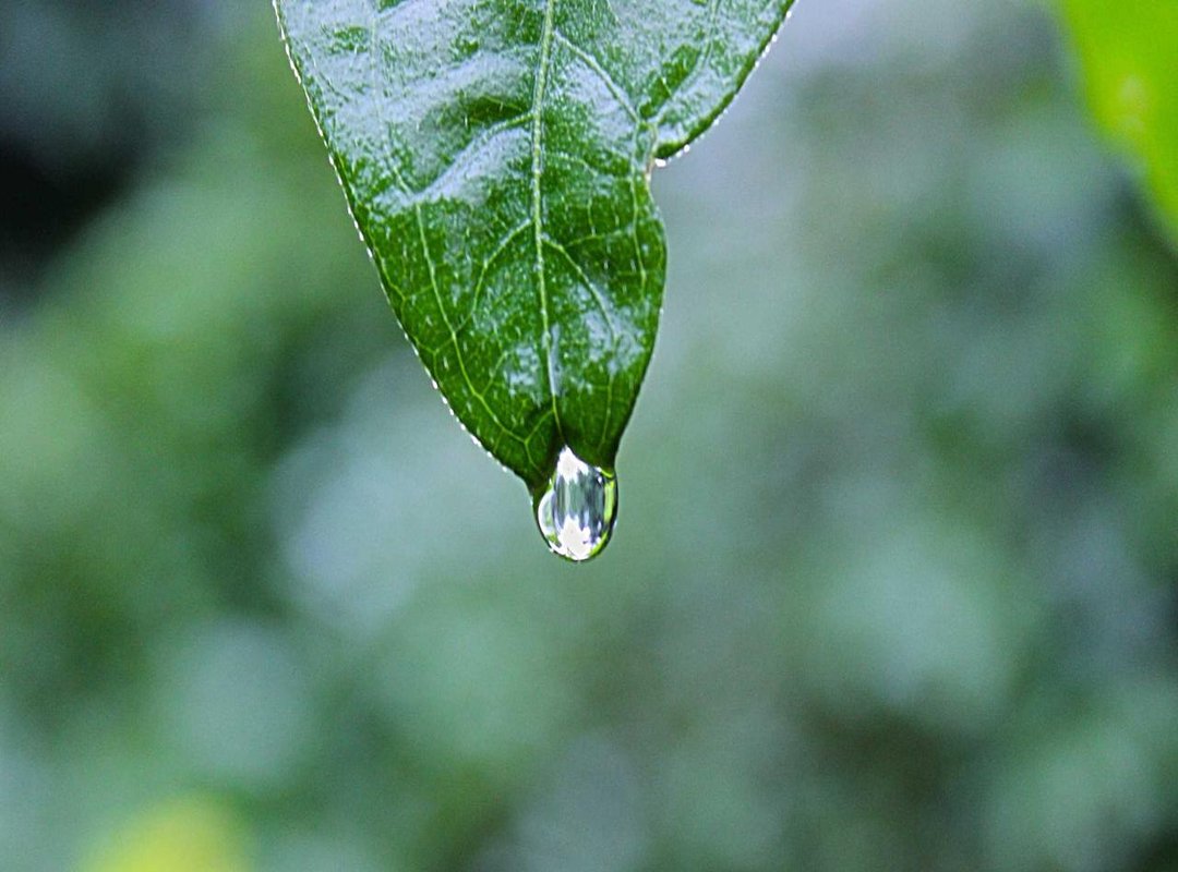 The High Stakes: Pros and Cons of Joining a Cartel