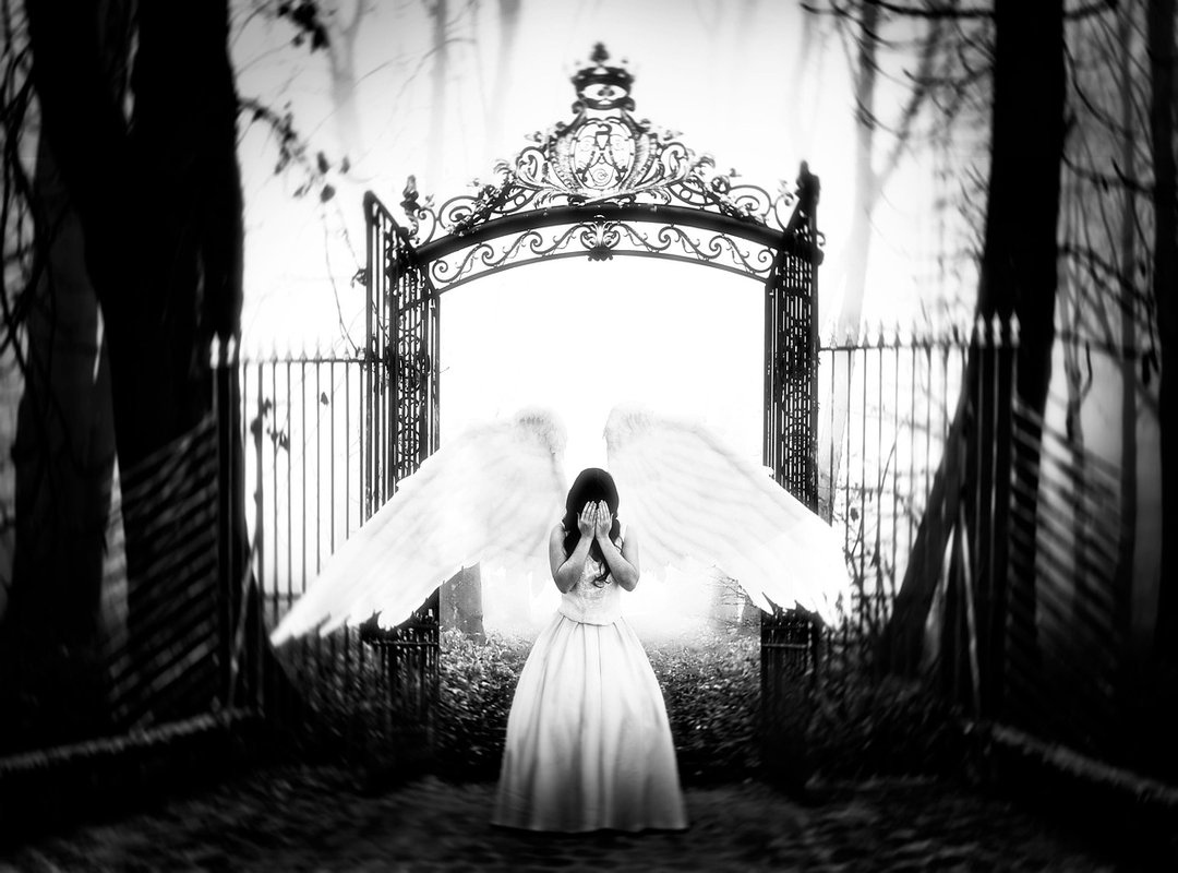 Fact or Fiction? Gauging the Leak's Credibility