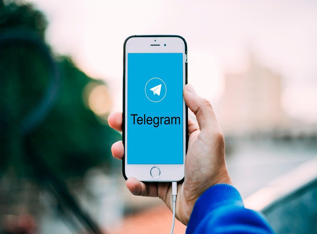 картель телеграм