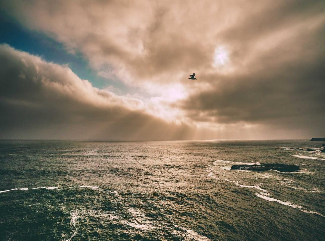 Art as a Voice: How These Cartoons Tell a Story