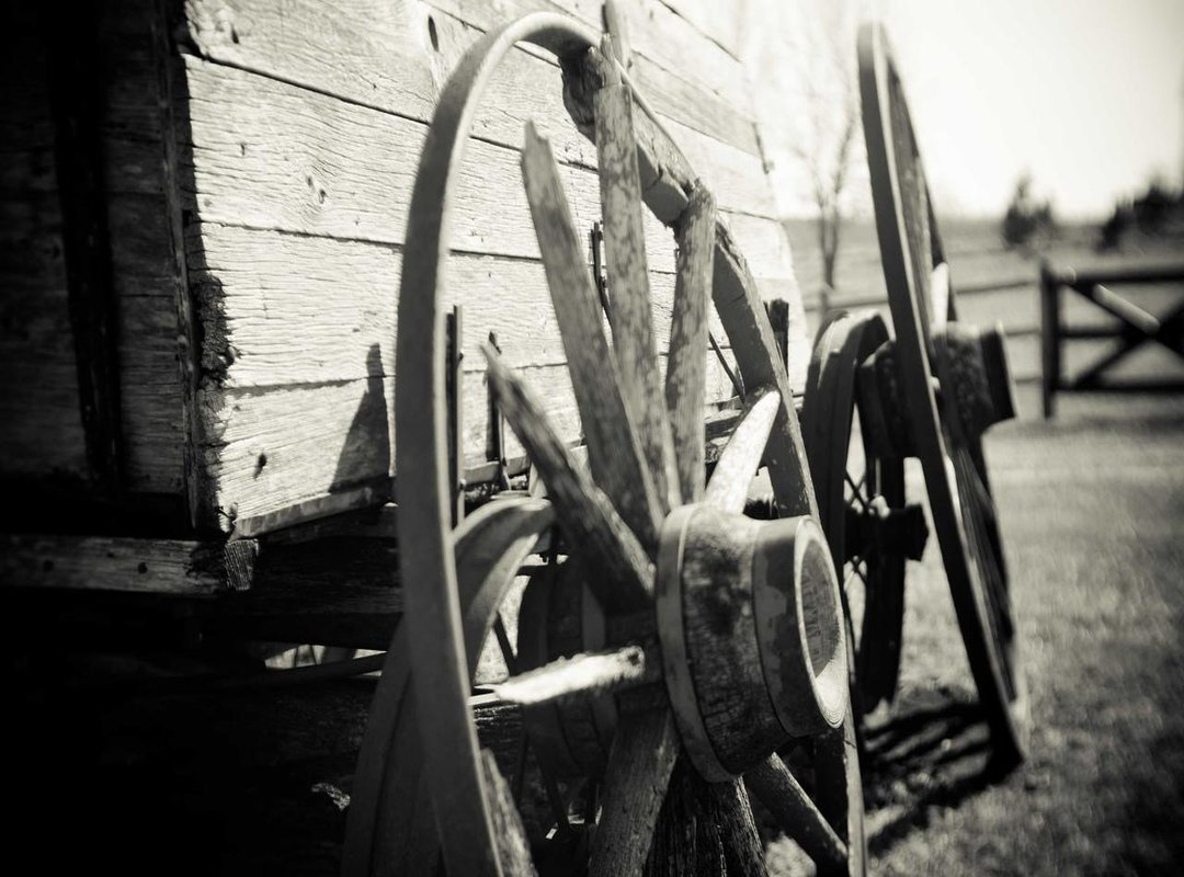 From Viral Clips to Global Stardom: Charting Hasbulla's Rise