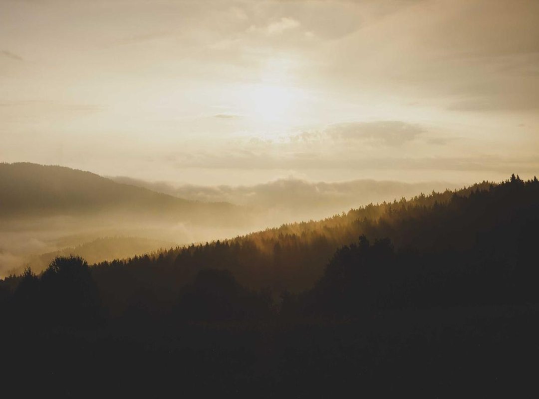 The Community's Role: Why This Trend Harms All Gamers