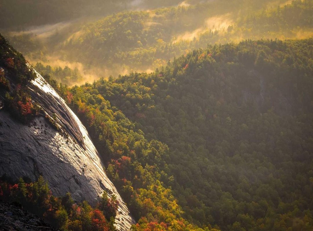 Potential Impact: What This Means for the Game's Future