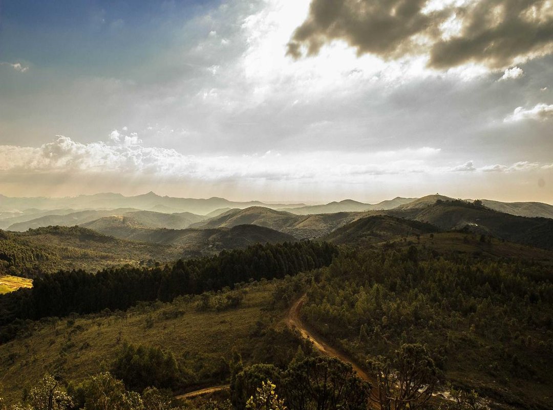 The Lawsuit: Kowalski Family vs. Johns Hopkins All Children's Hospital