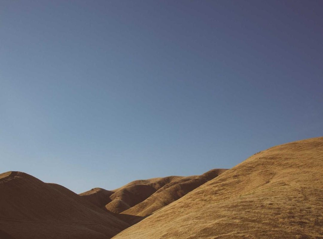 Life Together: Their Marriage and Family