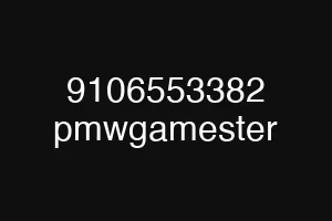 9106553382 pmwgamester